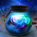 Wishing Bottle LED Romantic Bulb RGB Dimmer Lamp Rose Flower Bottle Light w