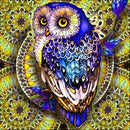5D DIY Diamond Painting Owl Rhinestone Kit Full Square Wall Picture (F048)