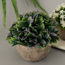 Plastic Artificial Potted Plants Green Grass -13cm / 5.12''(Height)-Purple