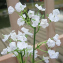 1 Head Artificial Plant Breath Gypsophila Silk Flower Party Wedding Home Bouquet