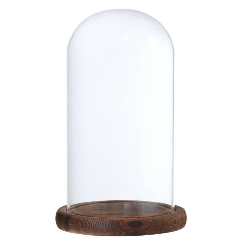 Glass Landscape Flower LED Light Ornament Cover Dome Display Stand _Brown D