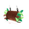 Small Animals Hanging Bed Pet Cotton Soft Sleepy Pad Hammock for Parrot