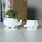 Set of 2 Cute Elephant White Ceramic Flower Pot with Tray for Succulents Ca S8K5