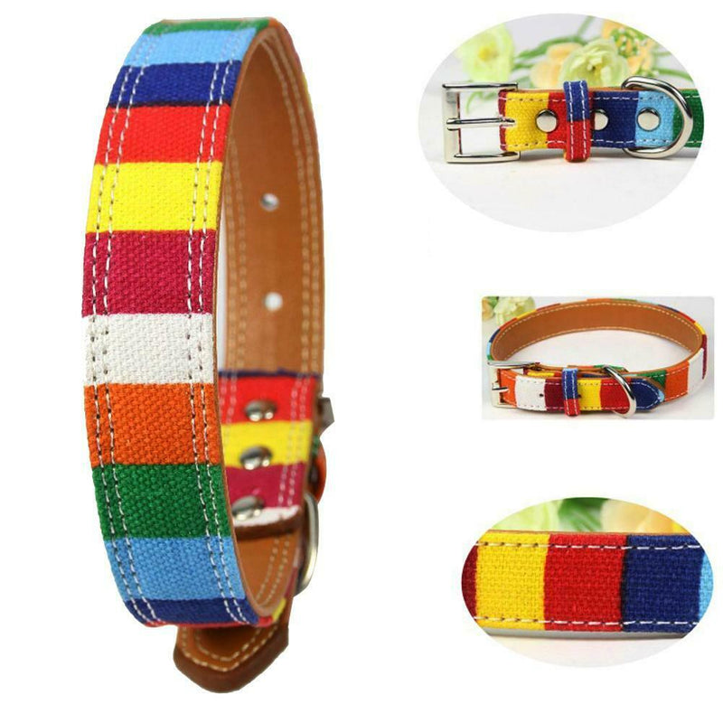 Pet Adjustable Collar Buckle Neck Leather Colorful Rainbow  S