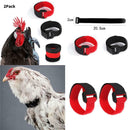 12x Rooster Collar Adjustable Prevent Rooster from Screaming for Duck Goose