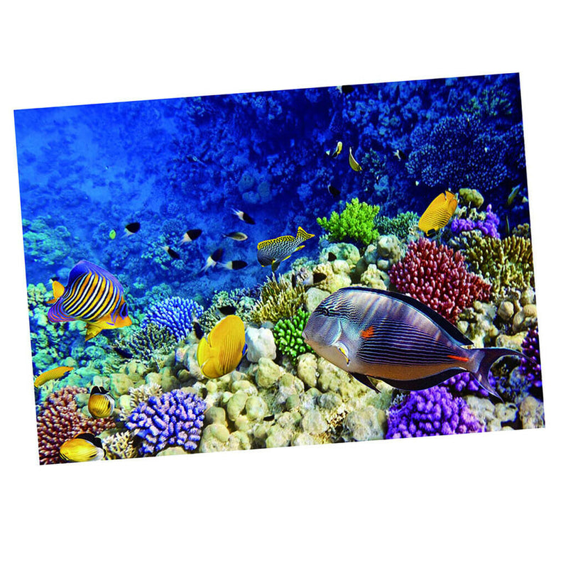 Aquarium   Tank Background Poster Marine Decorative Wallpaper 122x61cm