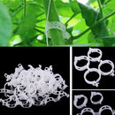 100pcs veggie garden plant support clips for trellis twine greenhouse M&