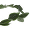 10pcs Plastic Green Leaf Hairband, Roman Greek Goddess Laurel Wreath, Fancy