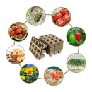 Home Peat Pots 12 Holes Biodegradable Flowers Garden Tool Seed Starter Tray Set