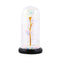 20LED Foam Night Lamp Foil Rose Glass Dome Copper Wire Fairy String Lights A