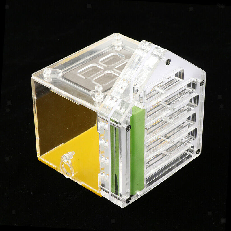 Formicarium Acrylic Transparent Feeding Breeding Box - Allows Study of