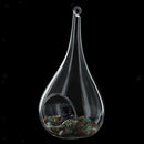 Taper Hanging Glass Flowers Planter Vase Terrarium Container Home DIY Decor
