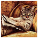 1set diamond painting Reading the cat Diamonds embroidery crafts Needleworksã€N^