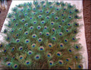 10Pcs 25cm Natural Peacock Tail Feathers Costume Party Wedding DIY Fashion Craft