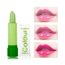 12 Pieces Color Changing Lipstick Makeup Moisturizer Lip Gloss Wand Lasting