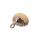 Natural Gilding Conch Shell Beads Pendants Charms for Jewelry Making Crafts