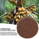 Natural Coconut Bricks Fiber Reptile Bedding Absorb Pet Maintain Waste Y9B1