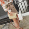 Women Lace Straw Bags Popular Female Holiday Handbag Summer Hot Lady Weave  G9H9