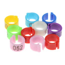 150Pcs Bird Leg Clip Rings Opening Foot Pigeons Parrot Identification Supplies