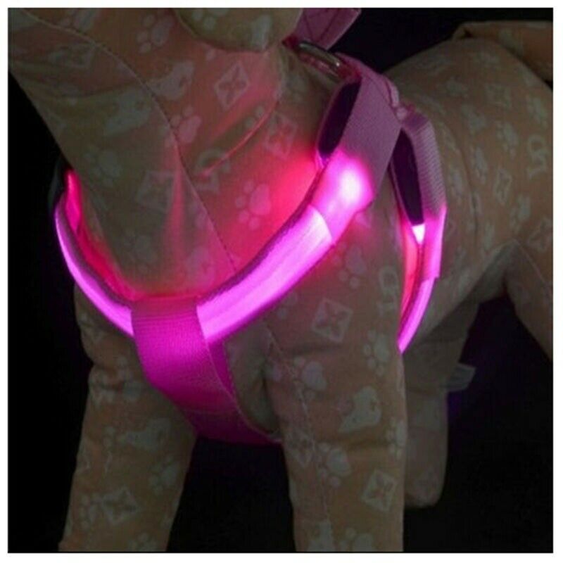 Dog Puppy Safety LED Glow Flashing Light Belt Leash Tether Harness Collar L G4B6
