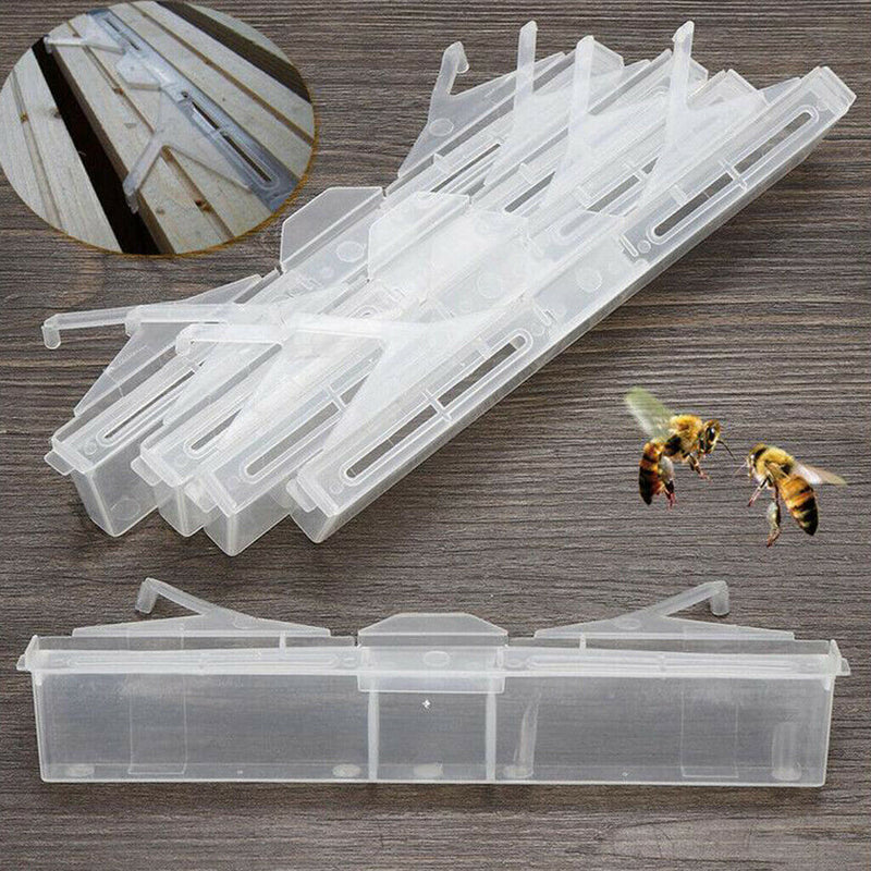 6pcs/set Small Beetle Traps  Beekeeping Tools Friendly Safe 17x3cm