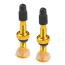 2pcs Golden Mountain-Bike Bicycle Tubeless Tires Presta Valves Removable