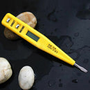 12V-250V AC DC Digital Electrical Tester Pen Voltage Inductance Detector HK