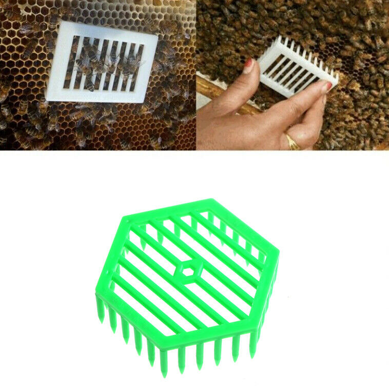 1PC Plastic Green Queen Marker Cage Clip Bee Catcher Beekeeping Tool JR