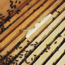 Small Hive Oil Traps Clear Plastic Baitable Reusable Hive Beekeeping Tools