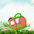 Bug Box Small Pet Observation Box Children'S Portable Plastic Bug Cage Box