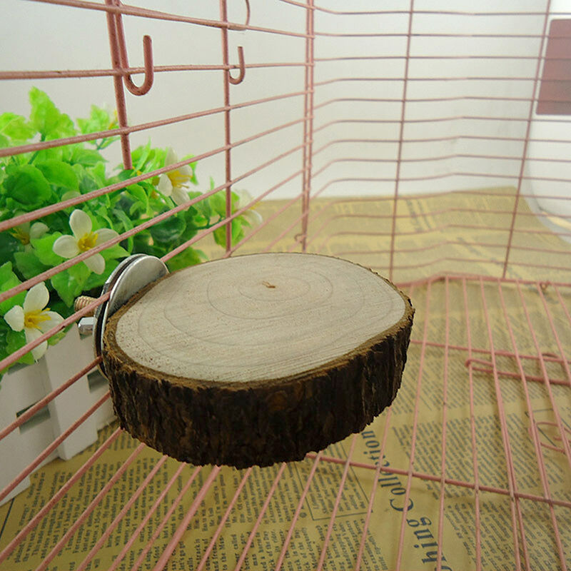 Parrot Pet Bird Round Platform Toys Wooden Hanging Stand Perch Cockatiel Fun