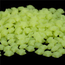 200X Stars Glow in the Dark Luminous Fluorescent Plastic Cute Wall Decor  JR