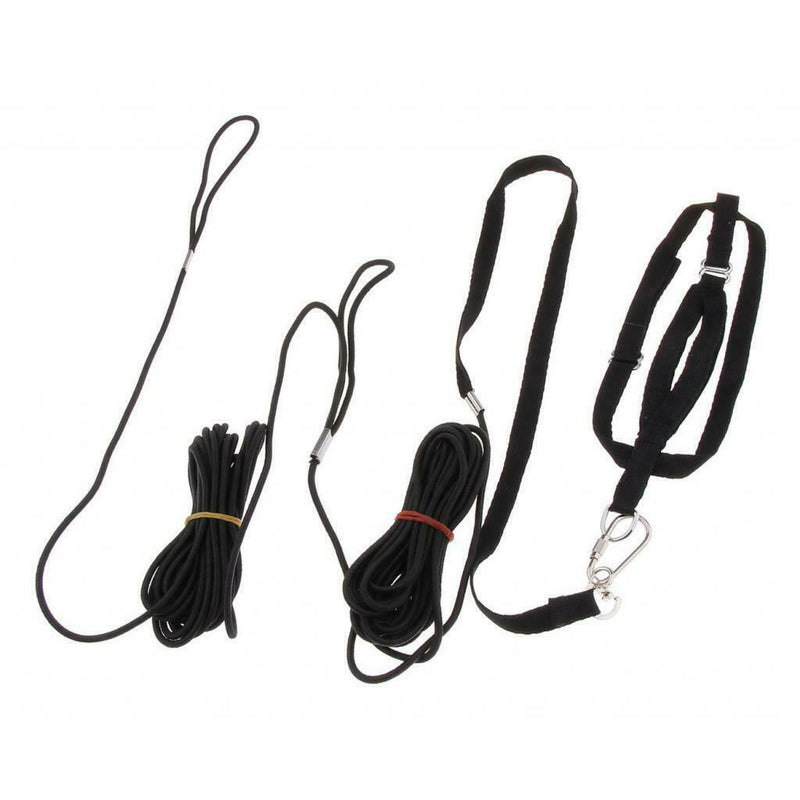 Set Of 3 8 Meters Bird Leash Anti-Bite Rope Flying Harness For Parrot Budgerigar