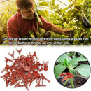 50x Gardening Grafting Clips For Home Garden Vegetable Bushes Vine Flower Q6R4