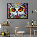 5D DIY Diamond Painting Kits Animal Full Round Drill Picture (B2513 Owl)