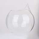 10Pcs Flower Plant Hanging Glass Vase Bottle Wedding Garden Ball Decor New
