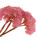 Artificial Fruit Succulent Grass Plant Desert Landscape Flower Decor Pink