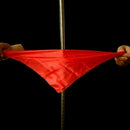 Silk thru cane magic tricks silk for professional magicians streets propsDDB Kw