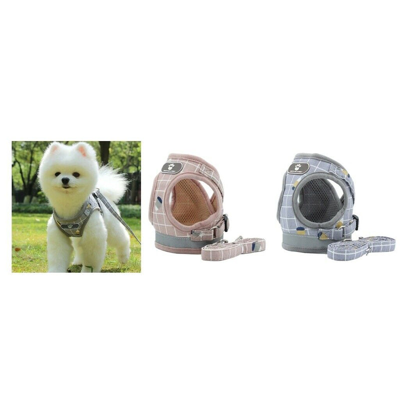 2pcs Breathable Pet Puppy Harness Vest Pet Training Traction Rope For Puppy