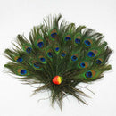 10PCS QUALITY GIFTS DIY PEACOCK EYE TAIL FEATHER FOR MASQUERADE DECORATION