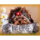 Diamond Picture Rhinestones Diamond Embroidery Dog Sale Full Square Diamond K4B2