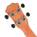 21 Inch Ukulele Soprano Beginner Ukulele Guitar Ukulele Mahogany Neck Delic