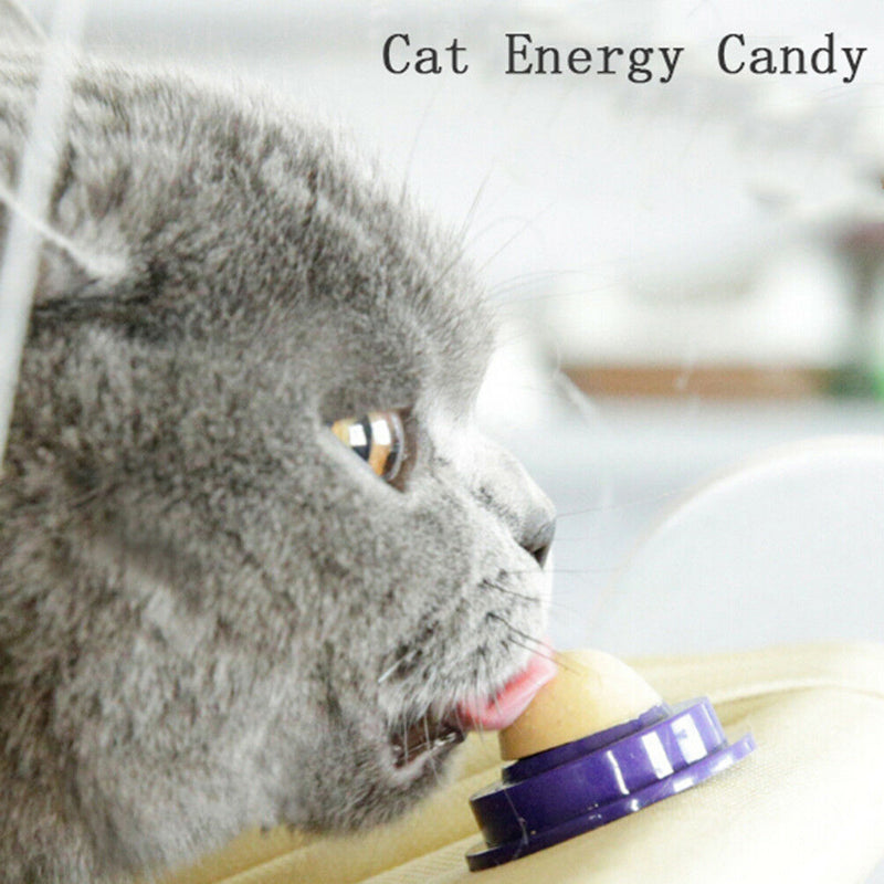 Cat snacks catnip sugar candy licking solid nutrition energy ball toys healthysp
