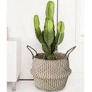 Portable Foldable Natural Seagrass Woven Storage Basket with Handle for Hom