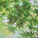 Photography Background Fabric Flower Grass Wall Photo Studio Props Backdrop