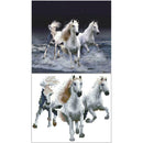 DIY 5D   Diamond  "Horse Without a  Stop " Painting Home Decor