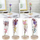 Glass Display Cloche Jar Dome Flower Immortal Preservation Vase Ornament