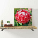 5D DIY Diamond Painting Flower Full Round Drill Embroidery Wall Art (QF312)