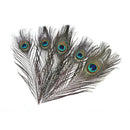 10Pcs Natural Peacock Feathers DIY Jewelry Decoration Plumes Accessories Cra JR