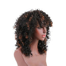 Dark Brown Synthetic Kinky Curly Wigs for Women Ombre Short Blonde Wig Afri